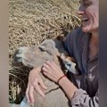 Naša glumica u naručju držala preslatko magarence i pevala mu: Snimak raznežio Srbiju, svi gledaju u neverici