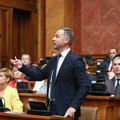 Aleksić (NPS): Kada budu počeli da gube vlast, tada će biti najopasnije