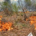 Izgorelo pet košnica sa pčelama kod Bosilegrada