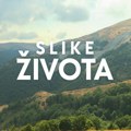 Slike života, nedelja u 15.15: Raskršće puteva veka i prirode i čoveka