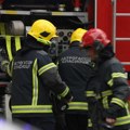Vatrogasci iz Aleksinca spasili šumsku kornjaču: ,,Posvećenost se ne meri veličinom spasenog, već veličinom onih koji…