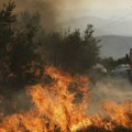 Veliki šumski požar na jugu Holandije, obustavljen železnički saobraćaj