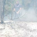 Bukti požar u blizini naselja Mali rit kod Pančeva