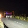 Morali su da ga uspavaju da ne bi umro u strašnim mukama: Potresan prizor kod Niša, konj brutalno stradao