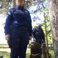 MUP predstavio policijske pse, "kolege" u očuvanju bezbednosti (VIDEO)