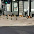 Uklanjanje pasa sa ulica jedan od prioriteta Grada