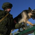 Nemci posebnim tehnikama obučavaju pse: Krzneni vojnici pripremaju se za specijalne vojne operacije