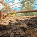 Takmičari Survivor-a večeras igraju polufinale