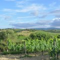Albanac pre smrti pozvao ženu, otkrio ko ga je upucao i molio za pomoć: Ubrzo je nađen mrtav pored vinograda