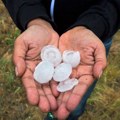 Nakon udara grada evo koji tretman biljaka je najbolje uraditi da bi spasili voćnjak za narednu sezonu