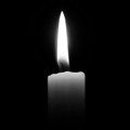 In memoriam: Slobodan Bokanić – ostavio neizbrisiv trag u razvoju plivačkog sporta u Srbiji