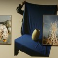 U bečkom Kunsthausu otvorena izložba posvećena zrnu i semenu