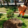 Nastavljeni radovi na uređenju i održavanju javnih površina u Nišu
