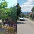 "Sto puta je tukao našu majku i niko nije reagovao, sad su svi došli, ali kasno" Sin koji je ubio majku kod Prokuplja ima…
