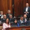 "Od igle do lokomotive" kad se vlasti žuri: O čemu su sve poslanici raspravljali u Skupštini