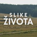 Slike života, nedelja u 15.15h: Mistična visoravan pastira