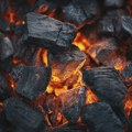 MONARHISTI: Nedopustivo da Srbija uvozi ugalj iz Indonezije dok zapostavlja sopstvene rezerve MONARHISTI