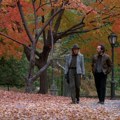 10 filmskih klasika idealnih za jesenje i zimske večeri
