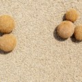 Neobičan fenomen u Grčkoj pred početak sezone: Naučnici zatečeni prizorom na plažama, sve je snimljeno!
