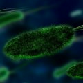 Godišnje će od ovoga umirati više od milion ljudi! Ugroženi životi širom planete
