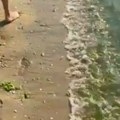 Srbin objavio snimak sa popularnog letovališta u komšiluku pa zakukao na mrežama: "Paralija posle ovoga deluje kao Sejšeli"