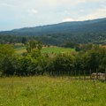 Srpsko selo pred izumiranjem: Nekada 800 đaka, a danas ukupno 7 stanovnika