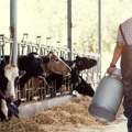 „Višak nastao uvozom“: Farmeri širom Srbije danas prosipali mleko jer im je otkazan prevoz do mlekara
