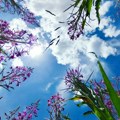 Vreme danas promenljivo oblačno sa sunčanim intervalima, temperatura do 33 stepena
