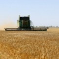 Kraj moratorijuma na uvoz ukrajinskog žita u Poljsku: Poljoprivrednici zabrinuti jer im je posao ugrožen