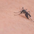 Zašto komarci neke ljude ujedaju, a neke ne, šta ih zapravo privlači?