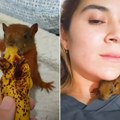 Spasila bebu vevericu! Životinja joj uzvratila na neverovatan način, snimak sve raznežio