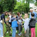 Mobilna aplikacija - zasađeni novi bođoši:U Somboru obeležen Evropski dan parkova
