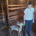 Nikola (14) je sa tatom brao jagode kad je čuo da nešto cvili u travi: "Dugo je maštao da mu se to desi, sad je lane deo…