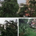 (Video) Oluje tutnje Srbijom RHMZ upozorava! U narednih sat vremena intenzivni pljuskovi stižu u ovaj deo zemlje