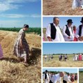 (Foto) održana dužijanca, žetva po starinski: Bunjevci oživeli tradiciju na Danu risa