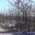 Veliki požar u Kruševcu: Gorelo preko 10 hektara VIDEO