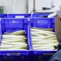 U Evropskoj uniji 21 odsto zaposlenih radilo je vikendom