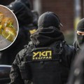 Velika akcija UKP-a u Beogradu: "Pala" švercerka (49), krila velike količine robe, ovo je sve pronađeno