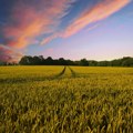 Odmotava se klupko zloupotreba subvencija u poljoprivredi: Pokrenuta kontrola zbog fiktivnih prijava