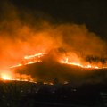 Detalji požara na padinama Fruške gore