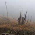 Ekstremne temperature okidač za požare: Planulo još jedno domaćinstvo kod Trgovišta - ostao samo garež (foto)