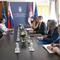 Đurić sa ambasadorom Slovačke o unapređenju saradnje dve zemlje