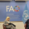 Delegacija Republike Srbije u poseti sedištu FAO u Rimu