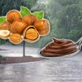 Poskupljuje omiljeni čokoladni krem: Nestašica lešnika zbog jakog prolećnog mraza! Da li postoji alternativa?