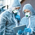 Komarci šire tri opasna virusa: Naučnici u panici