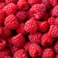 Vlada usvojila izmenu Uredbe: Rok za kredite skladištarima maline produžen za mesec dana