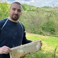 Pčelarstvo – tradicija porodice Kovačević: Pčele su ogledalo našeg unutrašnjeg stanja
