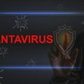 Hantavirus na kruzeru odneo tri života: Da li postoji opasnost za Srbiju i kakva je statistika obolevanja kod nas