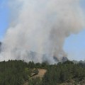 Gori šuma i nisko rastinje: Požar na više lokacija duž Ibarske klisure (foto)