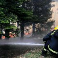 Požar na Vodicama kod Zlatibora: Vatra zahvatila oko dva hektara, na terenu nadležne službe